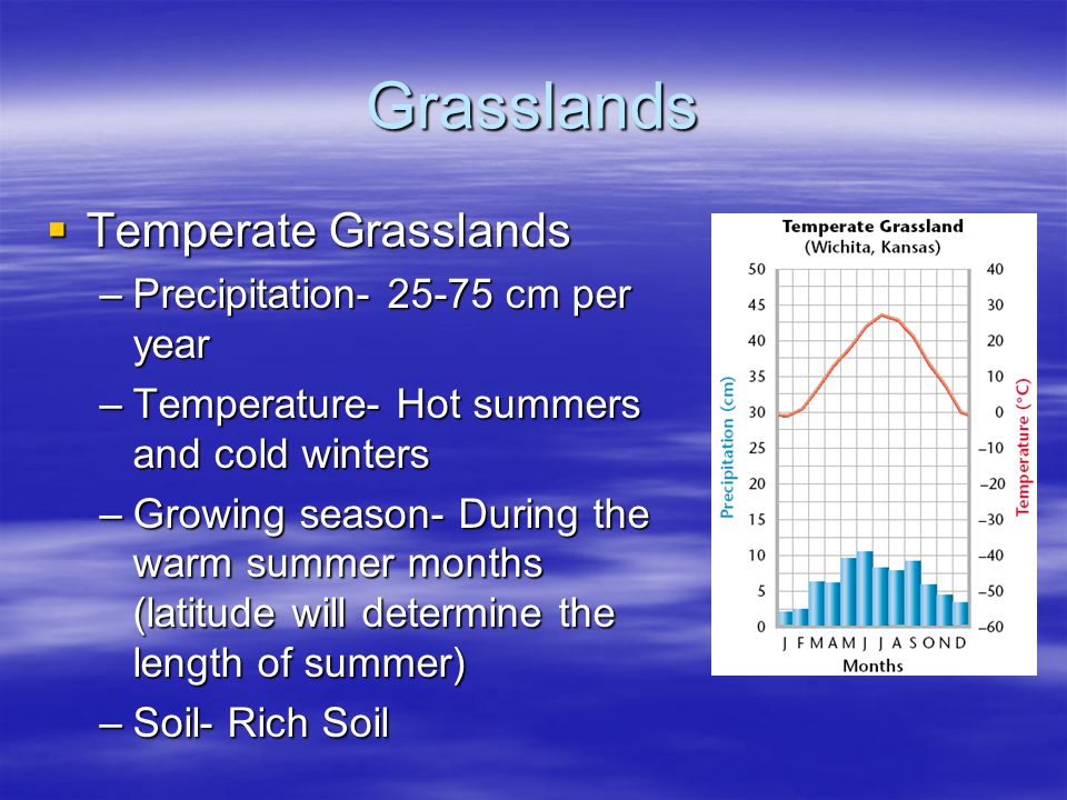 Grasslands Temperate Grasslands Precipitation cm per year
