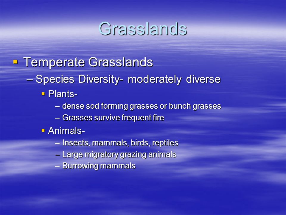 Grasslands Temperate Grasslands Species Diversity- moderately diverse