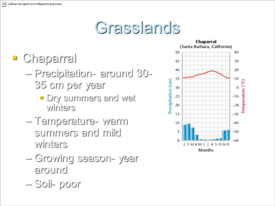 Grasslands Chaparral Precipitation- around cm per year