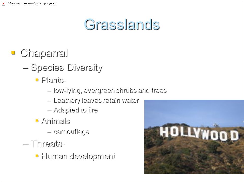 Grasslands Chaparral Species Diversity Threats- Plants- Animals