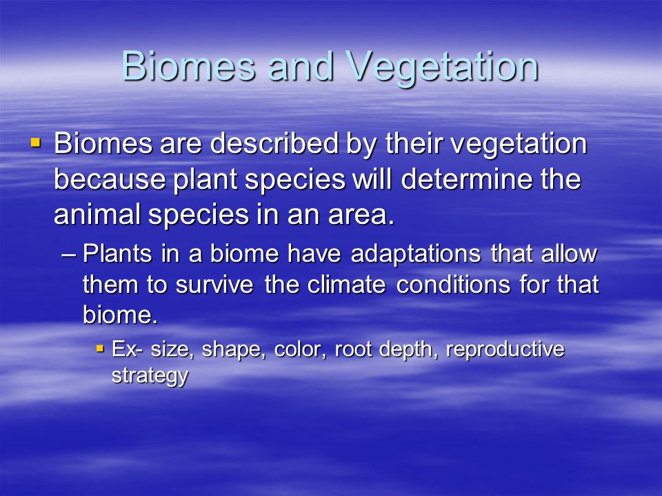 Biomes and Vegetation Biomes are described by their vegetation because plant species will determine the animal species in an area.