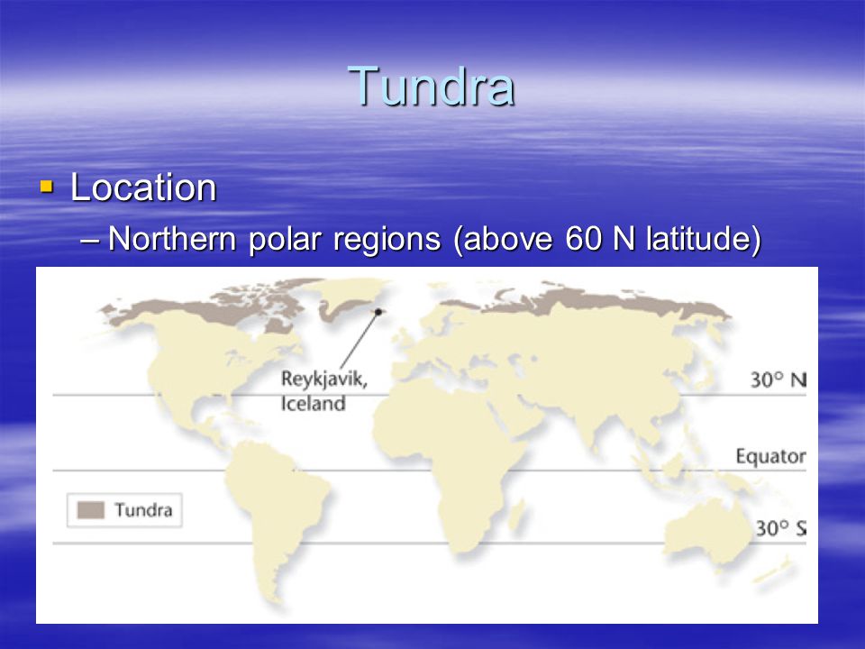 Tundra Location Northern polar regions (above 60 N latitude)