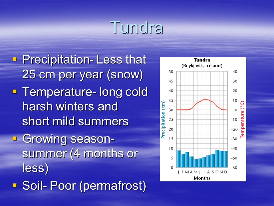 Tundra Precipitation- Less that 25 cm per year (snow)