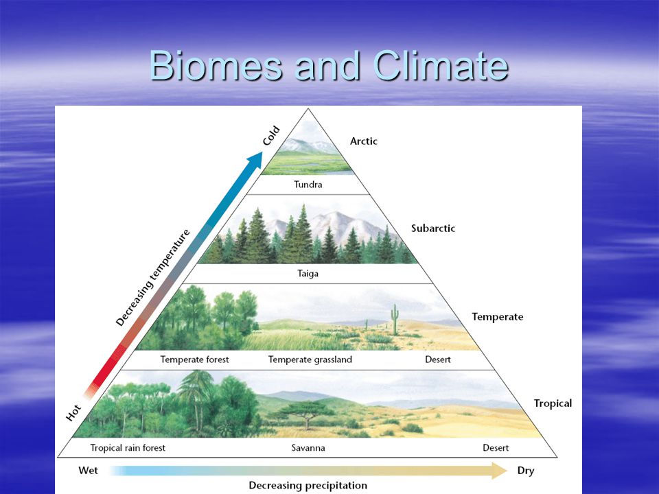 Biomes and Climate
