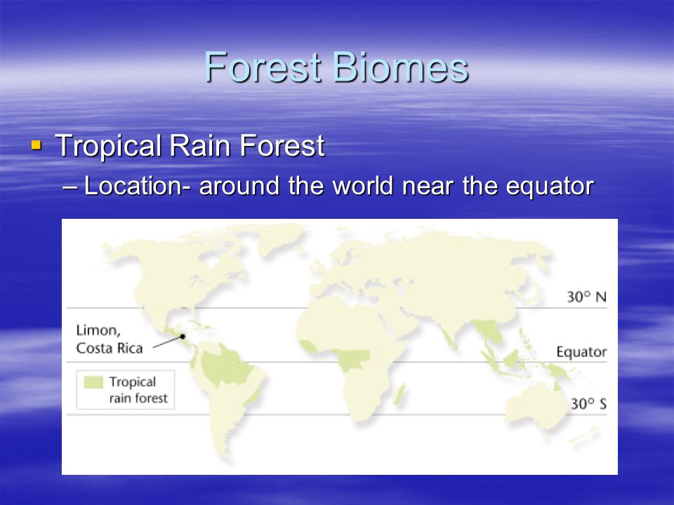 Forest Biomes Tropical Rain Forest
