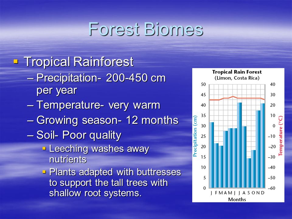 Forest Biomes Tropical Rainforest Precipitation cm per year