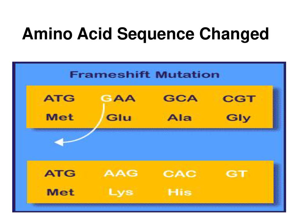 Mutations Ppt Download mutations-ppt-download
