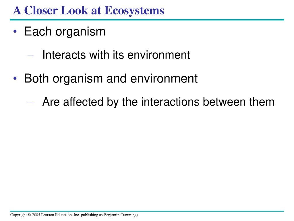 A Closer Look at Ecosystems