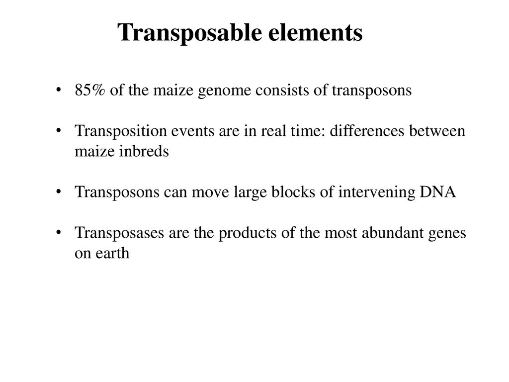 Transposable elements