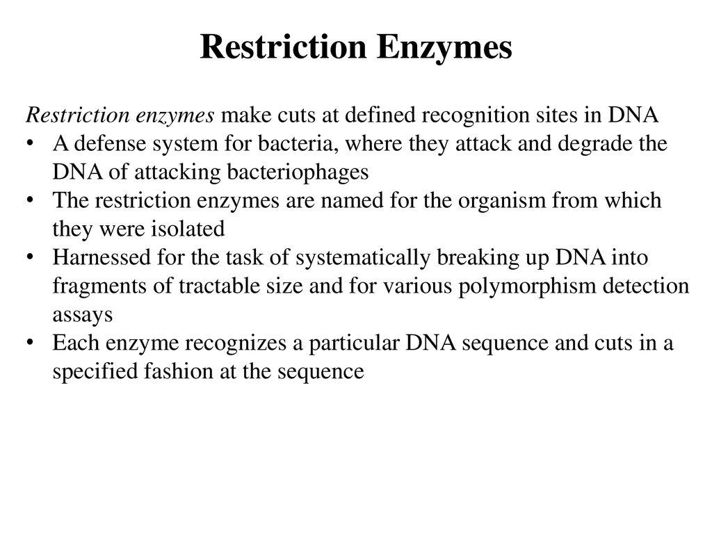 Restriction Enzymes Restriction enzymes make cuts at defined recognition sites in DNA.