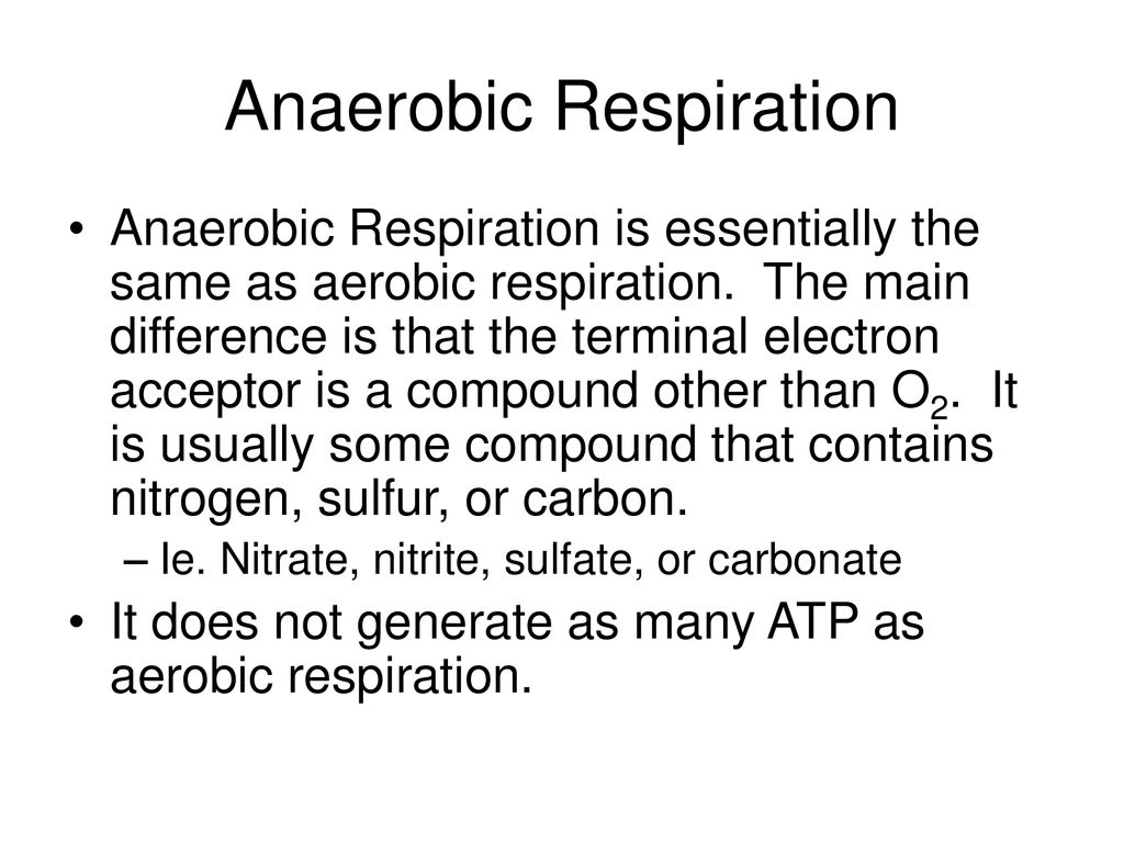 Metabolism Part 2 I teach a simplified version of Glycolysis and ...