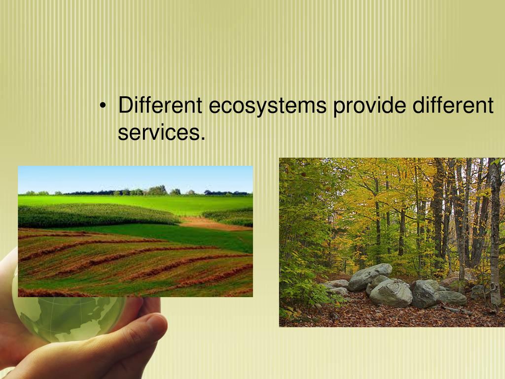 Human Use of Ecosystems - ppt download