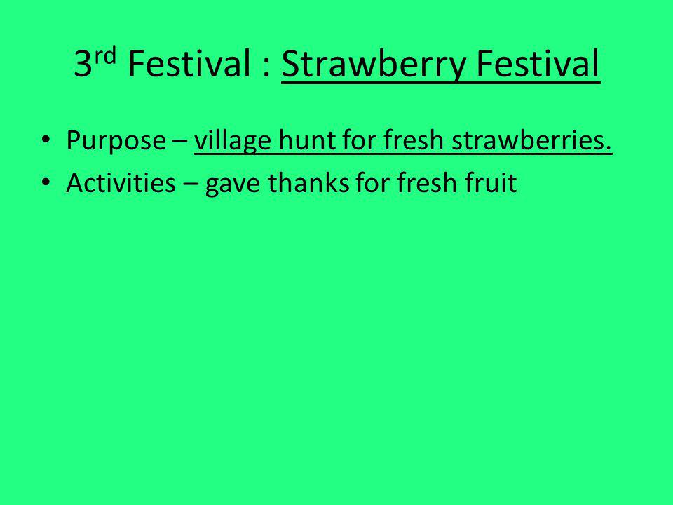 3rd Festival : Strawberry Festival
