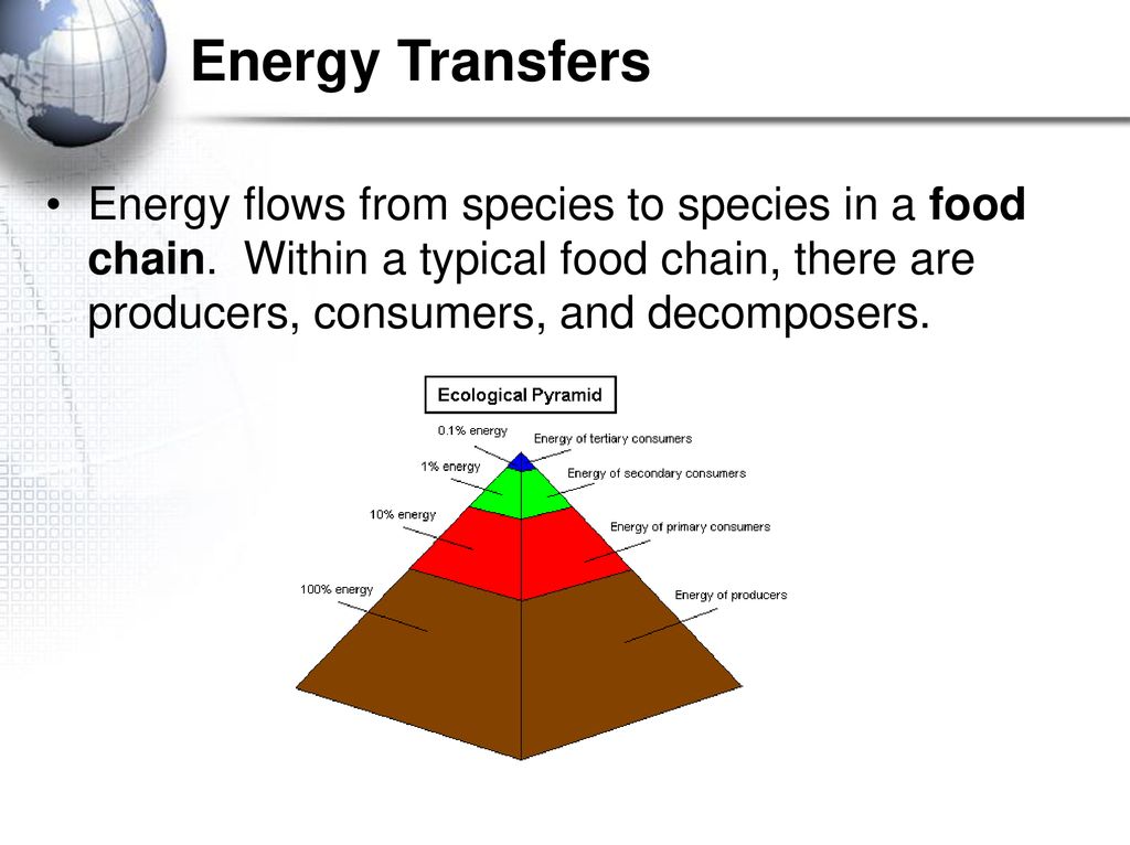 Earthโs Systems. Biology Diagrams