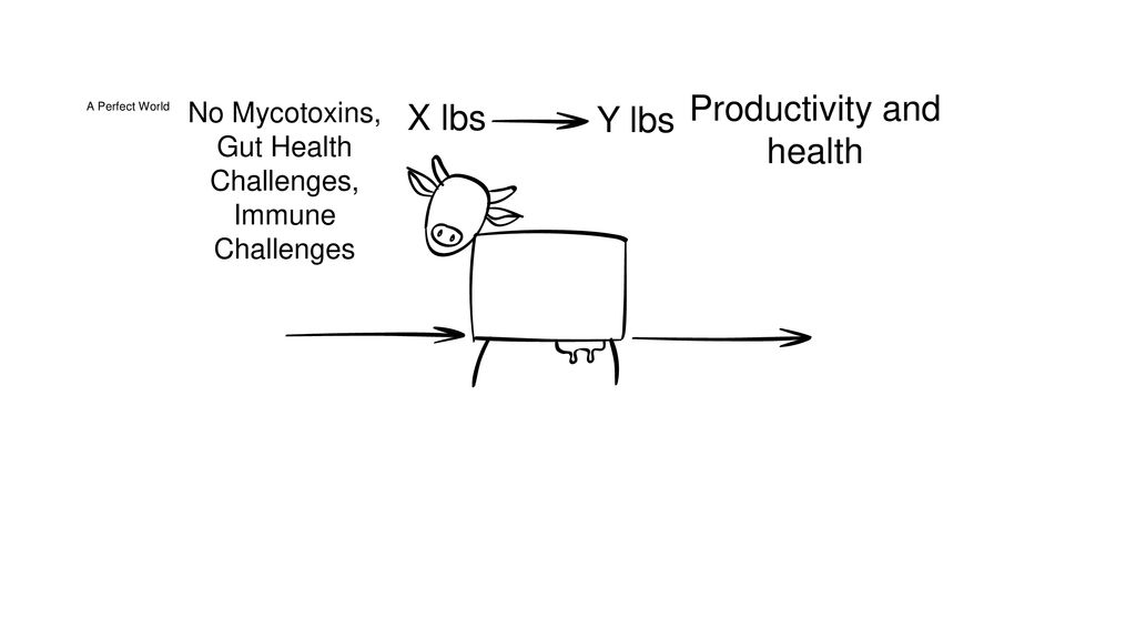 Productivity and health X lbs Y lbs