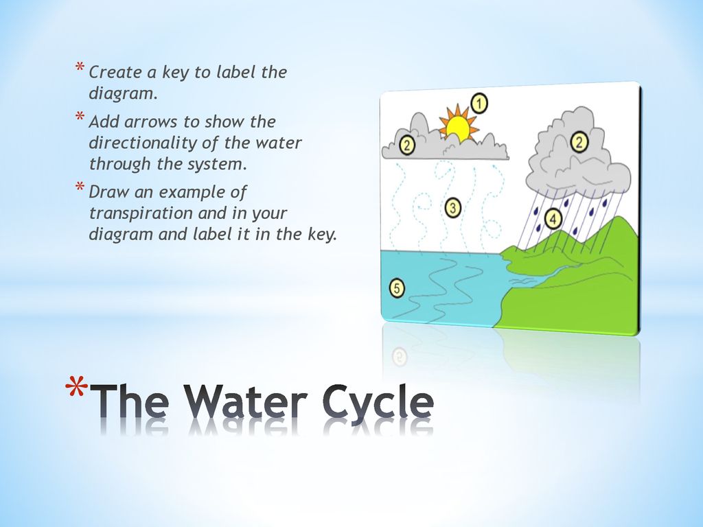 The Water Cycle Create a key to label the diagram.