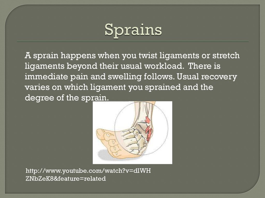 ppt download Biology Diagrams