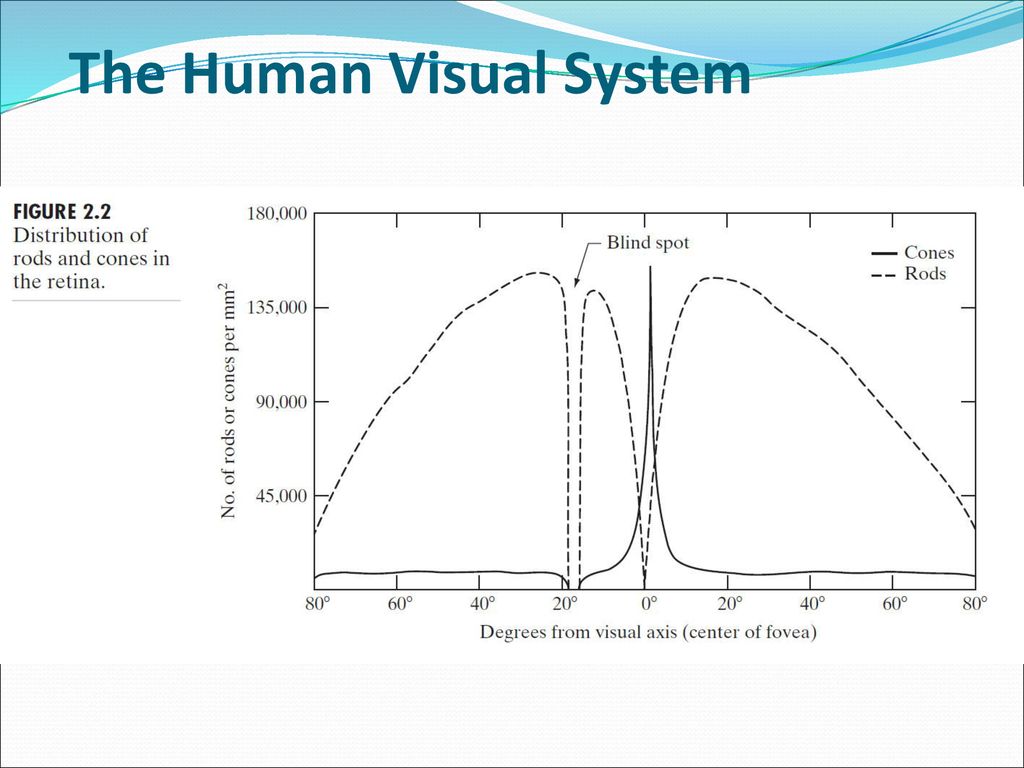Dr. Nikos Desypris, Oct Lecture 2 Biology Diagrams