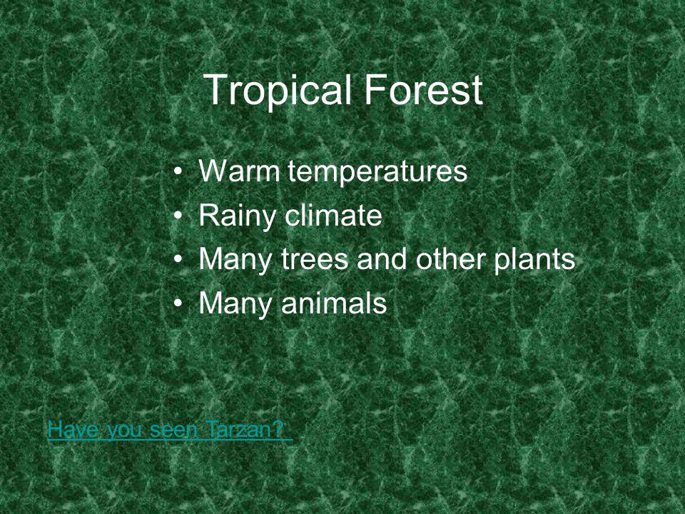 Tropical Forest Warm temperatures Rainy climate