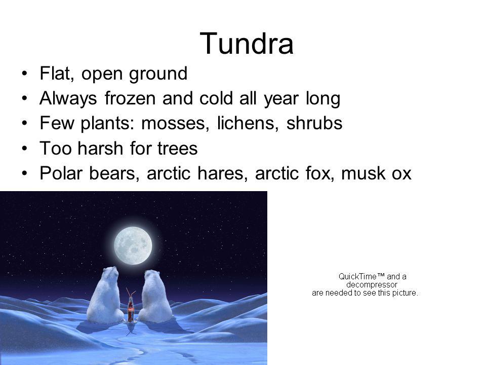 Tundra Flat, open ground Always frozen and cold all year long