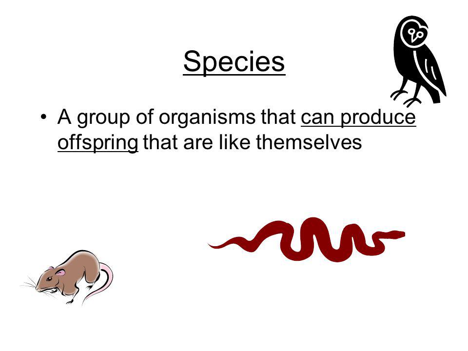 Species A group of organisms that can produce offspring that are like themselves