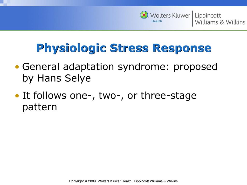 Chapter 5 Homeostasis, Adaptation, And Stress - Ppt Download