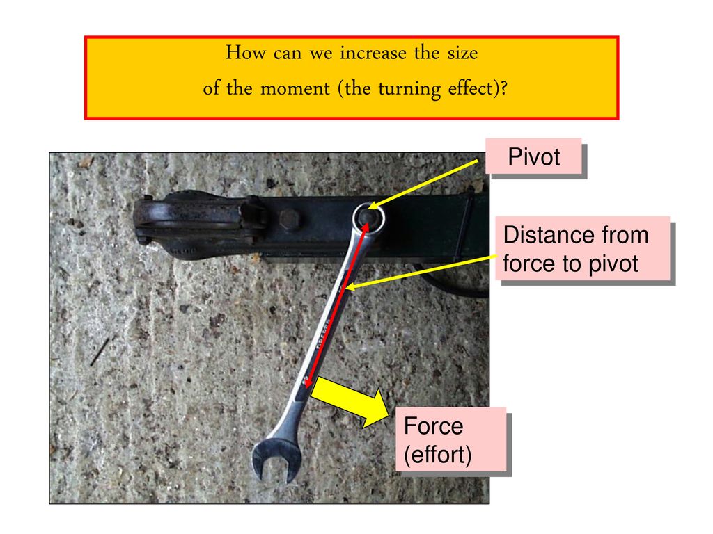 an-introduction-to-levers-featuring-wile-e-coyote-ppt-download