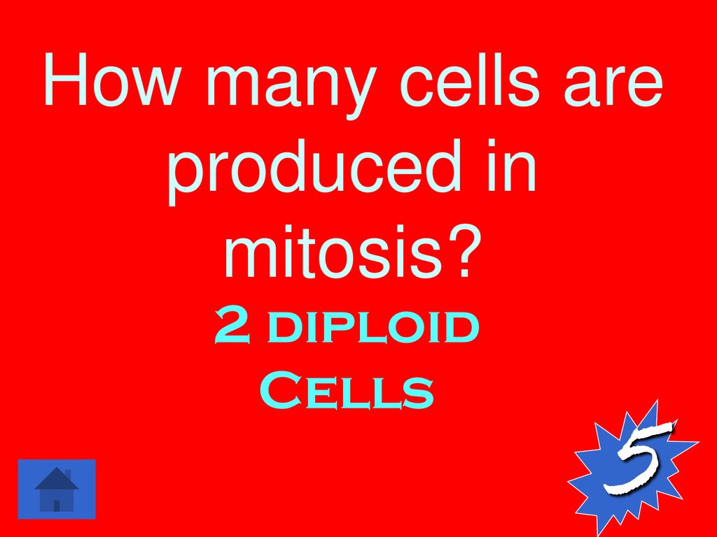 Cell Reproduction Cell Cycle Mitosis Meiosis Misc Ppt Download cell-reproduction-cell-cycle-mitosis-meiosis-misc-ppt-download
