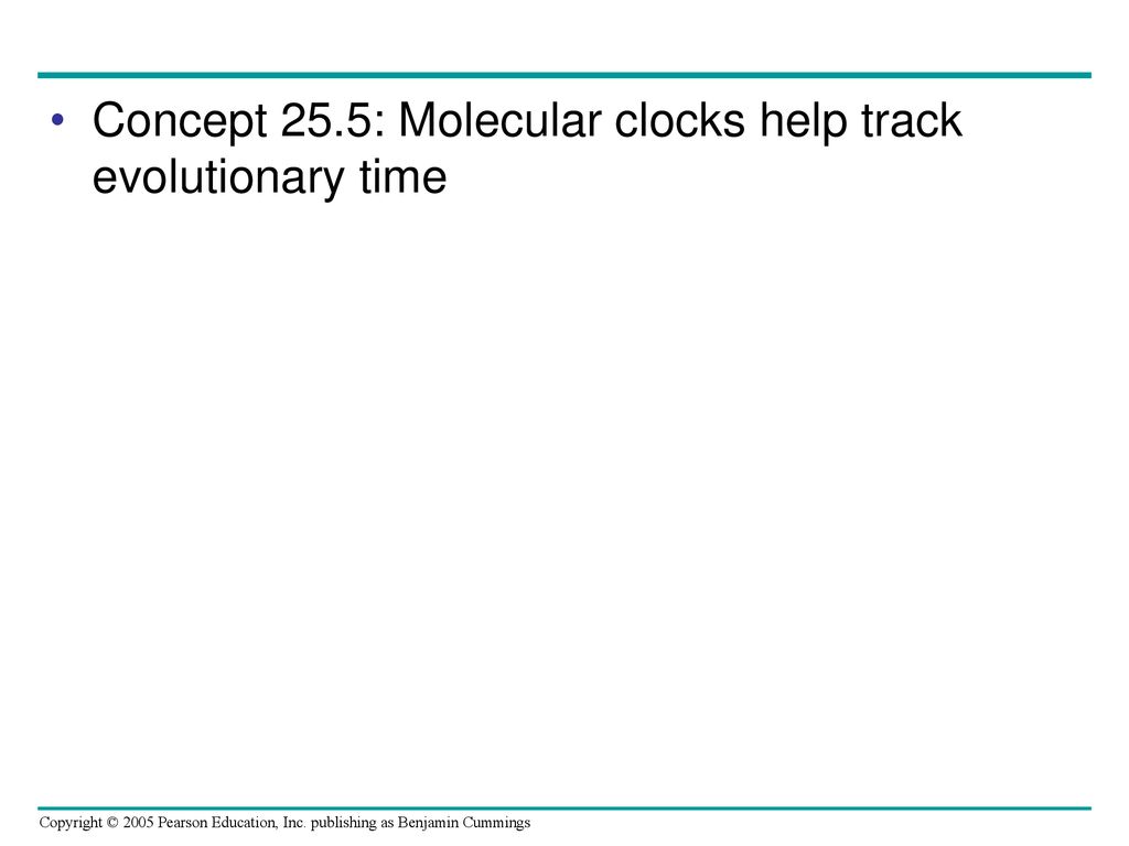Concept 25.5: Molecular clocks help track evolutionary time