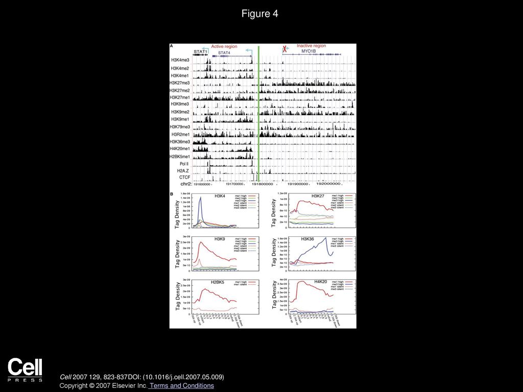 Resolution Profiling of Histone Methylations in the Human Genome Biology Diagrams