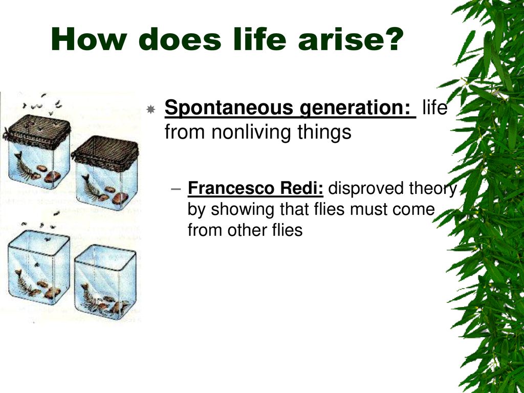 How does life arise Spontaneous generation: life from nonliving things.