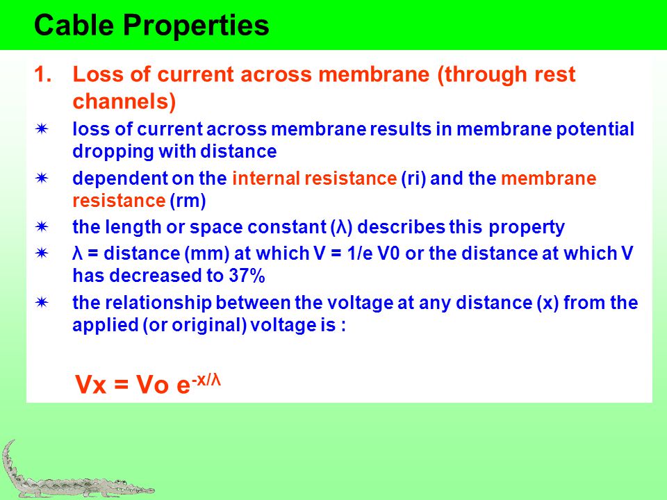 Cable Properties and Action potentials