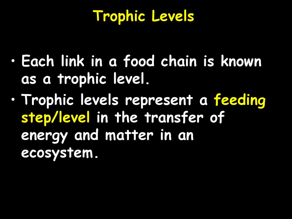 ppt download Biology Diagrams