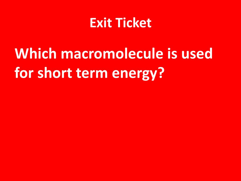 Which macromolecule is used for short term energy