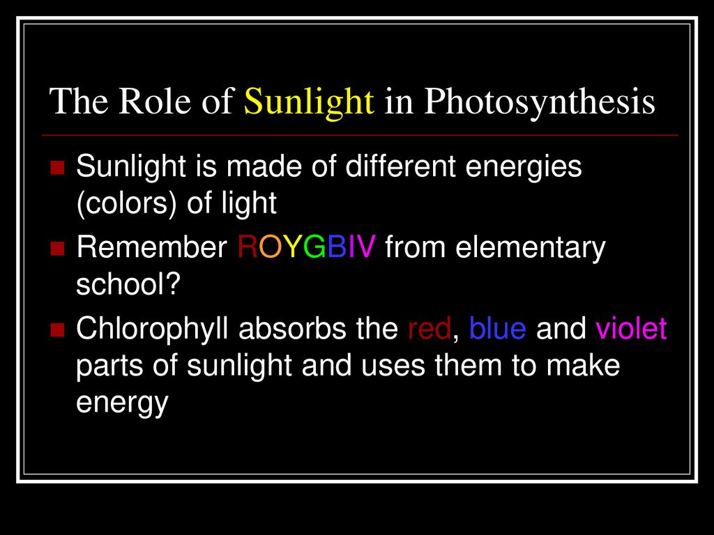 Photosynthesis Ppt Download photosynthesis-ppt-download