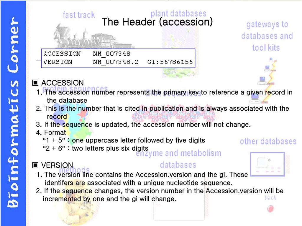 The Header (accession)