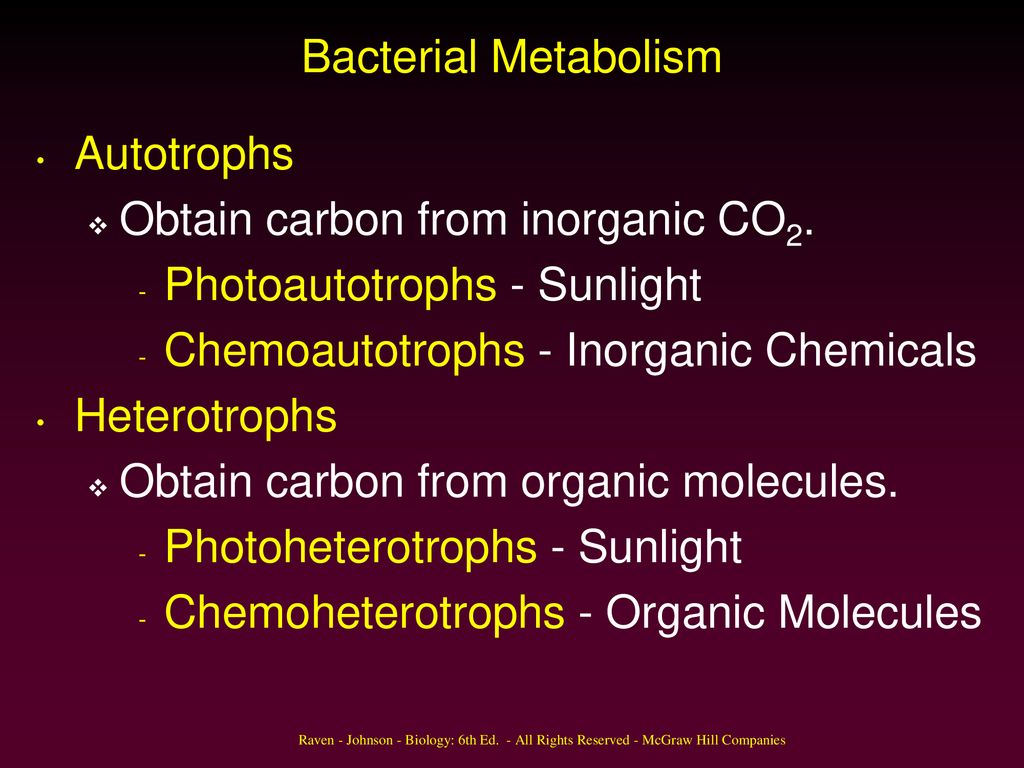 Bacteria Chapter 19 Copyright © McGraw-Hill Companies Permission ...