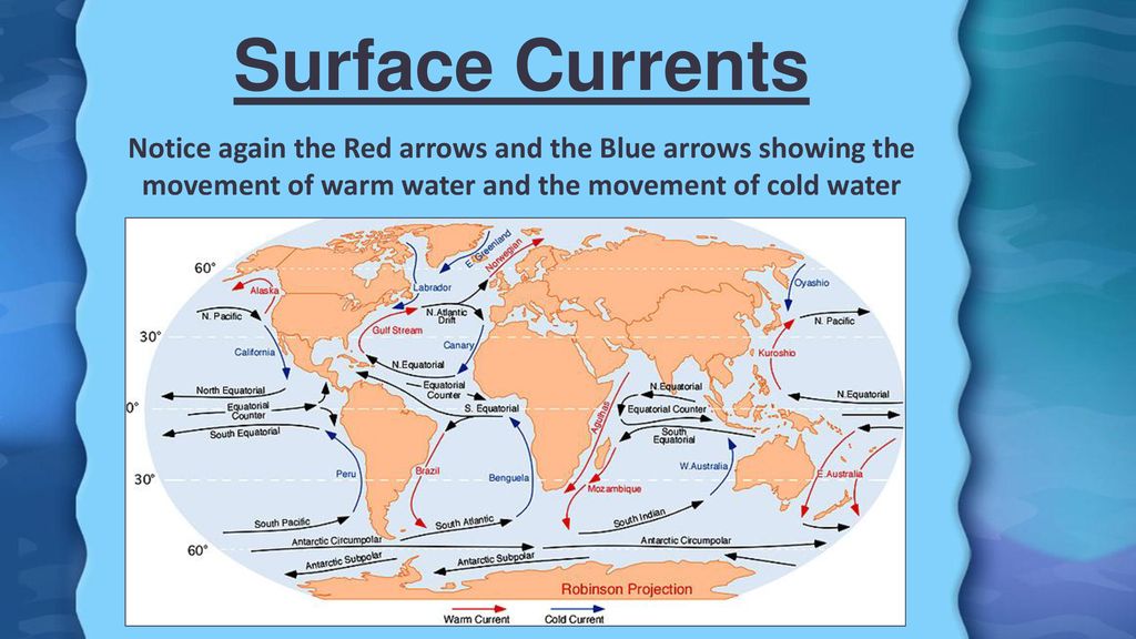 Surface Currents Notice again the Red arrows and the Blue arrows showing the movement of warm water and the movement of cold water