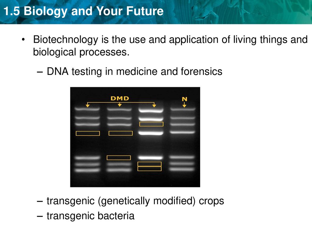 Biotechnology is the use and application of living things and biological processes.