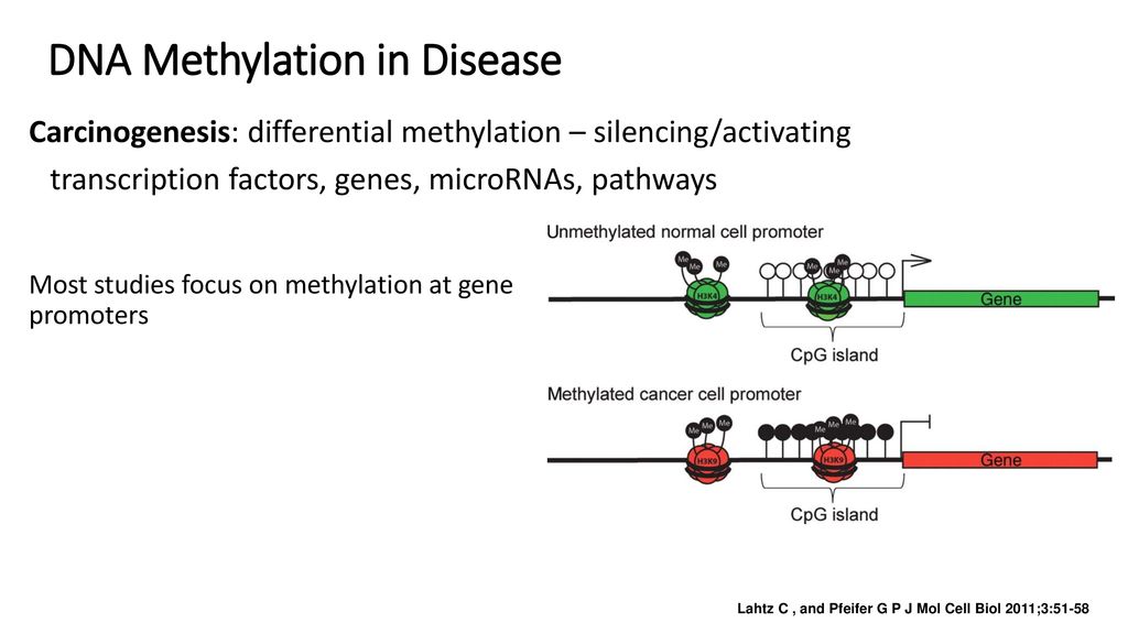 The Methylation Landscape of Human Cancers Biology Diagrams