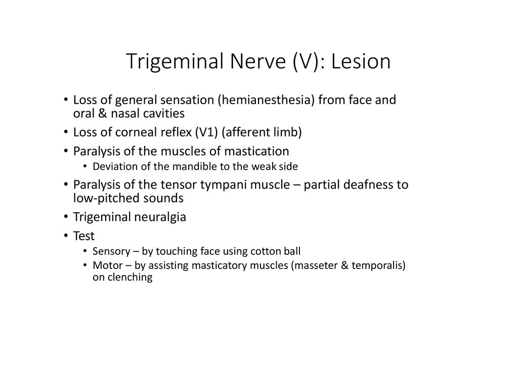 Trigeminal Nerve (V). - ppt download