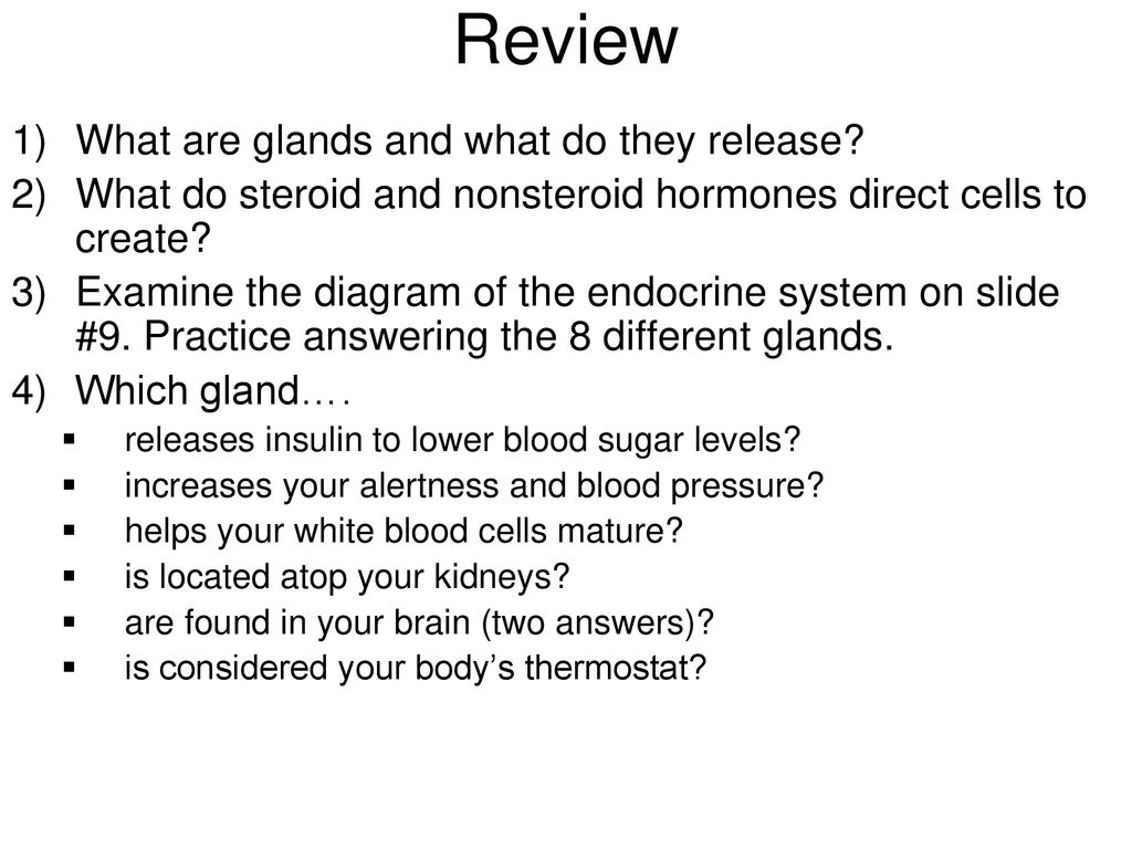 Endocrine System Ppt Download endocrine-system-ppt-download