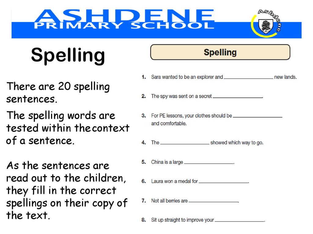 Spelling There are 20 spelling sentences.