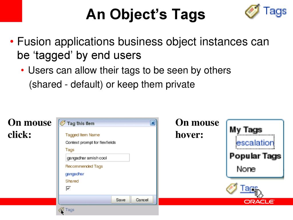 An Object’s Tags Fusion applications business object instances can be ‘tagged’ by end users. Users can allow their tags to be seen by others.