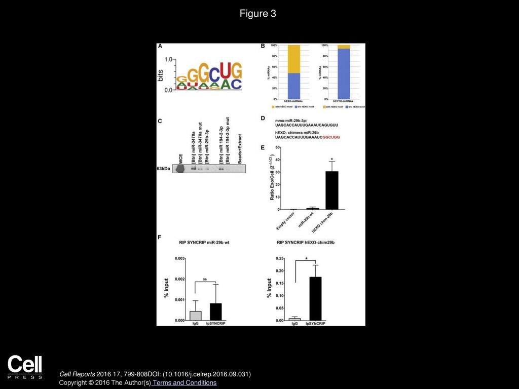 Volume 17, Issue 3, Pages (October 2016) - ppt download