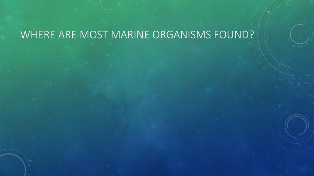 Aquatic Biomes Quiz Review - ppt download