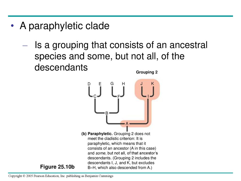 A paraphyletic clade Is a grouping that consists of an ancestral species and some, but not all, of the descendants.