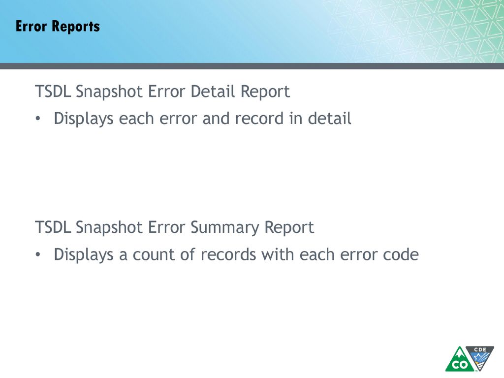 Error Reports TSDL Snapshot Error Detail Report. Displays each error and record in detail. TSDL Snapshot Error Summary Report.