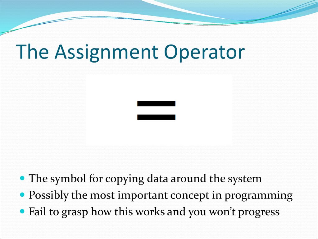 Variables Data Types and Assignment - ppt download