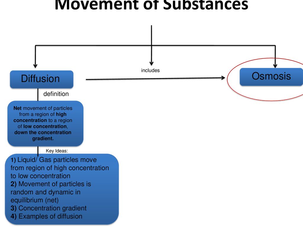 Movement of Substances